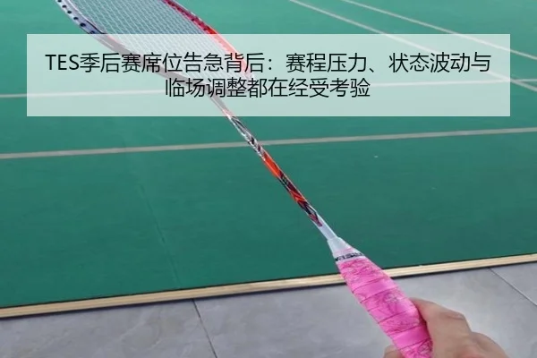 TES季后赛席位告急背后：赛程压力、状态波动与临场调整都在经受考验